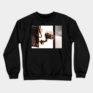 The Security Camera Crewneck Sweatshirt